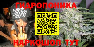 молекула духа Рязань