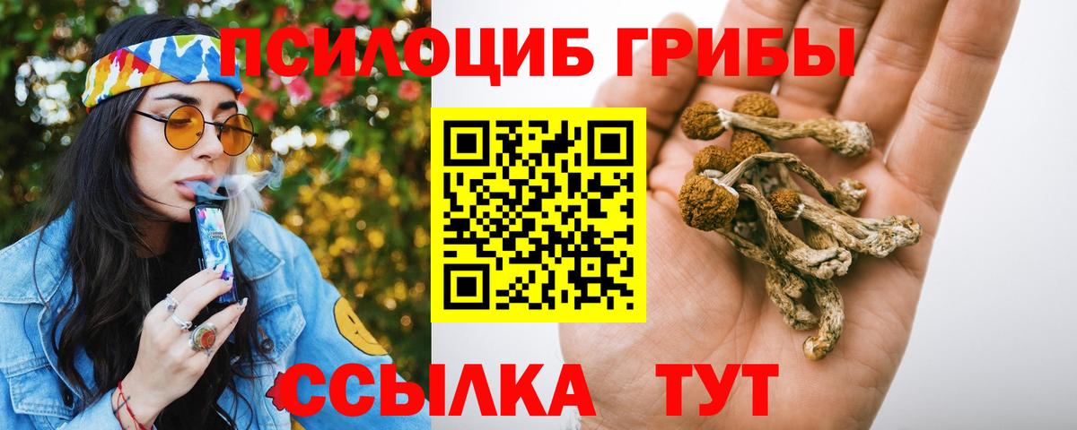 Галлюциногенные грибы GOLDEN TEACHER  Вход с VPN  Норильск 