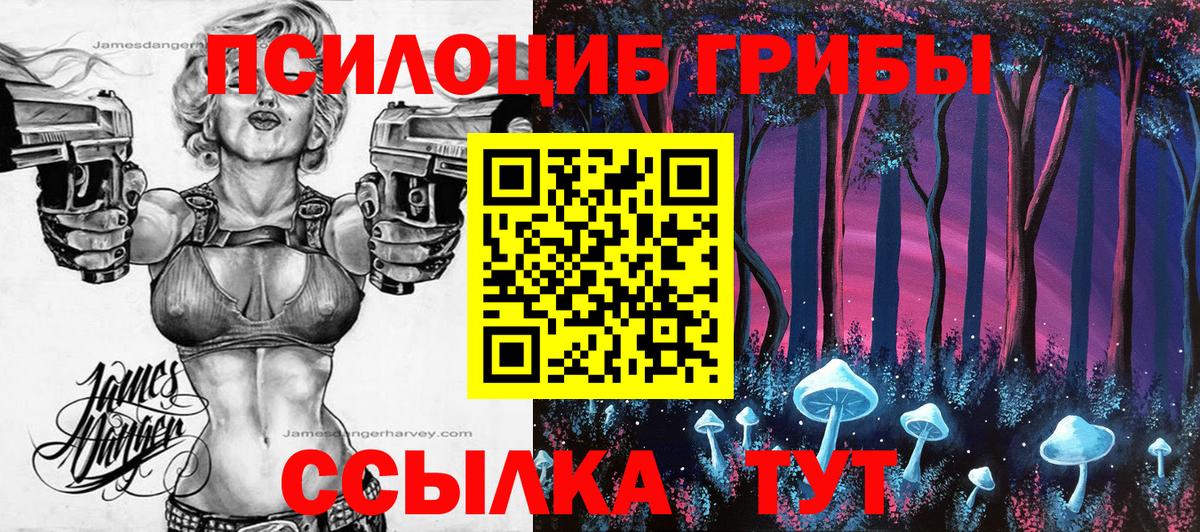 Галлюциногенные грибы Magic Shrooms Норильск