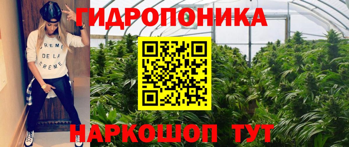 Бошки Шишки MAZAR Норильск